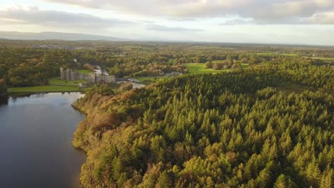 Flying Over Forrest in Ireland 4k