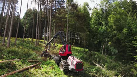 Nahaufnahme-Der-Walderntemaschine-Bei-Der-Arbeit---Verarbeitung-Von-Fichtenwald