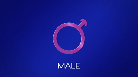 animation of text male, with male gender symbol on blue