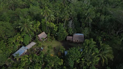 a group of houses, forming a farm or a small village on top of a mountain, surrounded by jungle and nature in new britain, papua new guinea