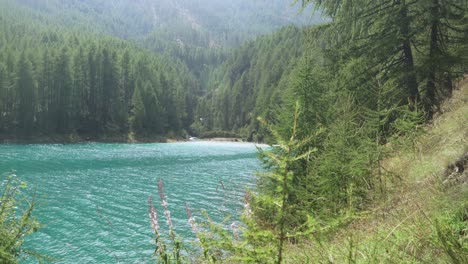 turquoise water of lake vernago with forest in background