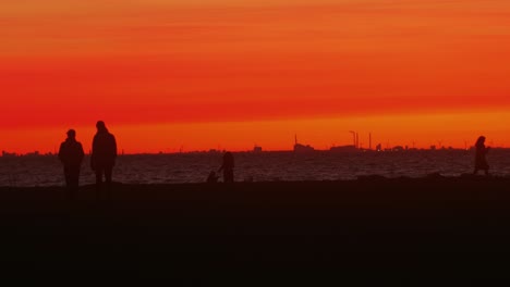 Paare,-Die-Händchen-Halten-Und-Bei-Sonnenuntergang-Zum-Strand-Gehen