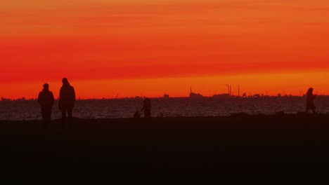 parejas tomados de la mano y caminando a la playa al atardecer