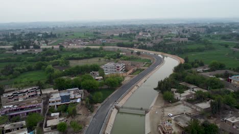 La-Vida-En-La-Orilla-De-Un-Arroyo