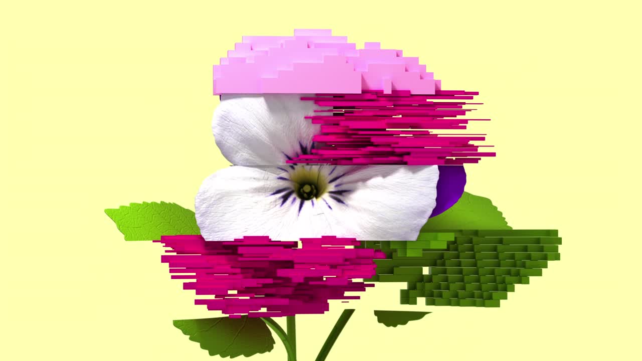 3d 플라워 비올라의 고장 - 이 없는 루프 - nft 컨셉