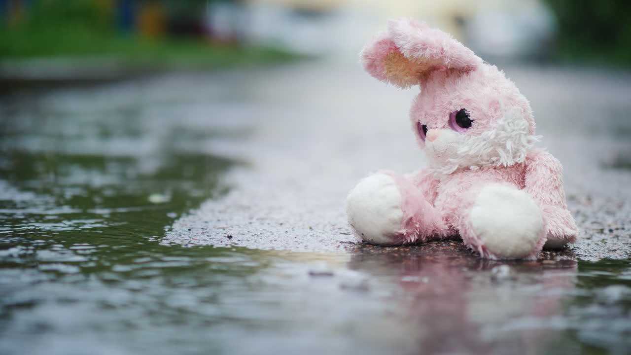 una liebre de juguete mojada se moja bajo la lluvia se sienta sola en el video de asfalto frío 4k