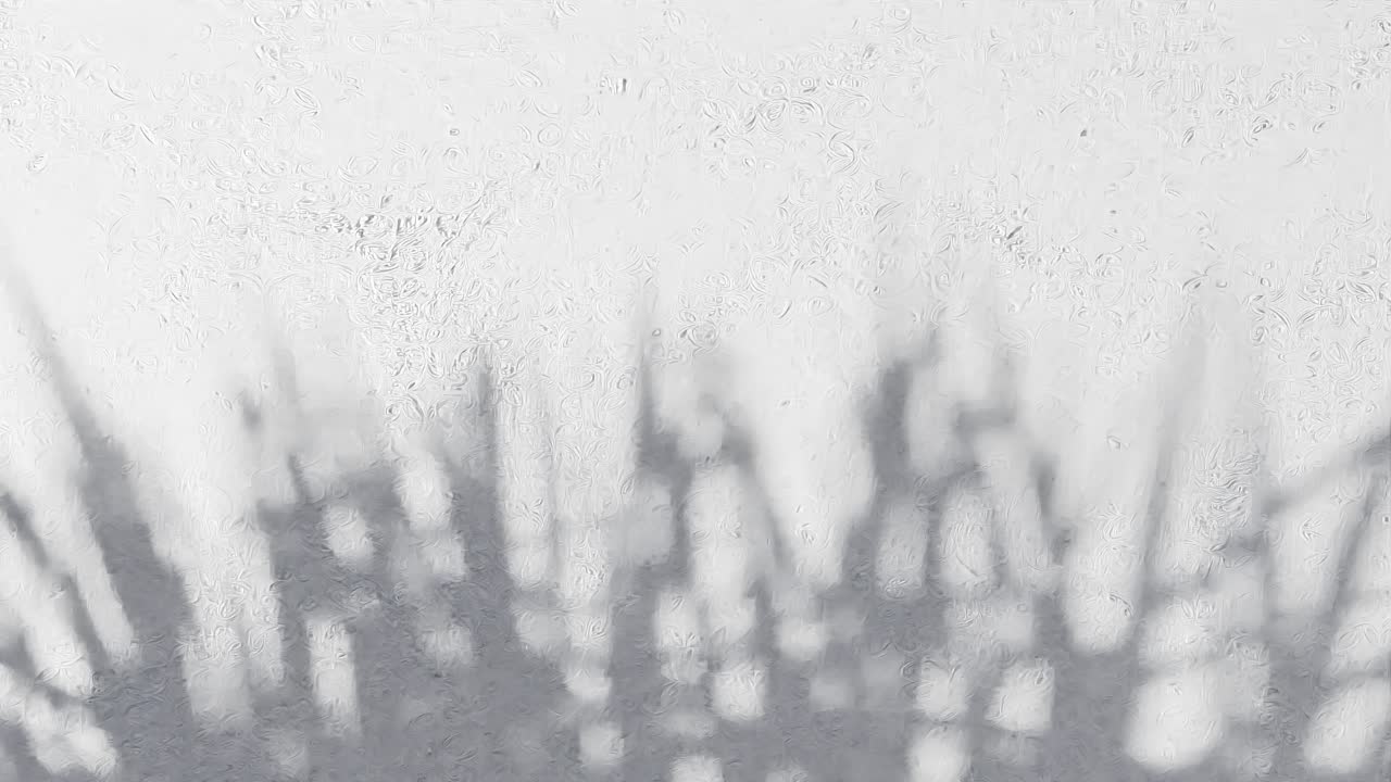 Grass blades shadow on textured white wall. Nature silhouette concept