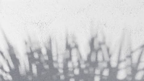 grass blades shadow on textured white wall. nature silhouette concept