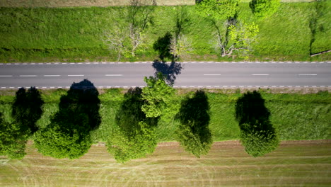 Aerial-high-angle-shot-of-cars-passing-by-on-road-between-green-fields-on-a-bright-sunny-day