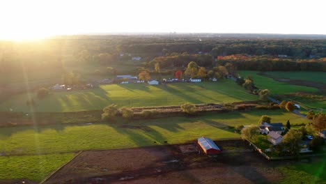 Vista-Aérea-Drone-Amanecer-Vacas-En-Tierras-Agrícolas-Campo-Rehoboth,-Ma