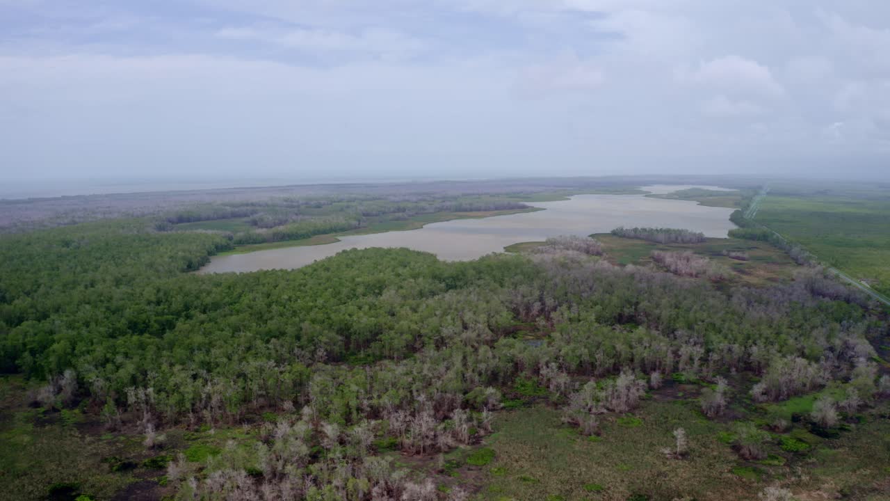 экосистема дикой природы водно-болотных угодий амазонки в южной америке, вокруг озера