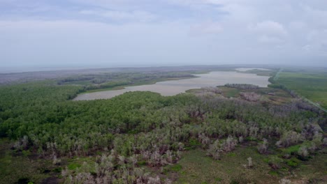 Luftaufnahme:-Amazonas-Feuchtgebiet-Ökosystem-In-Südamerika,-Rund-Um-Den-See