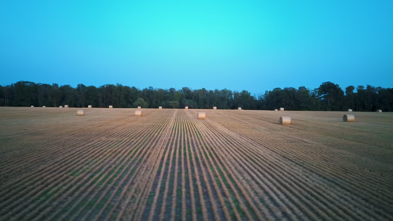 полет над полем с рулонами сена восход солнца
