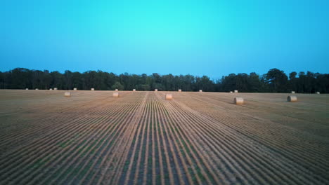 flying above the field with hay rolls sunrise