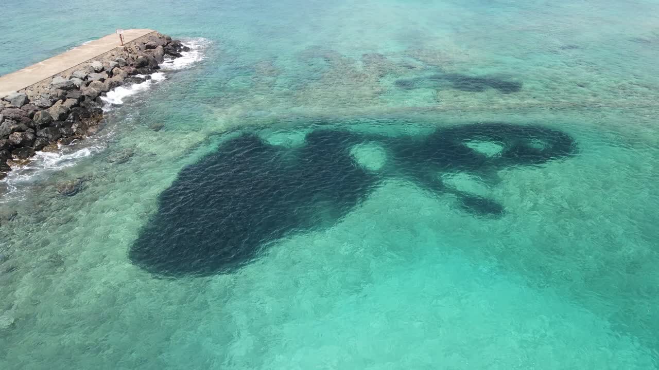 vista aérea de un banco de peces en el océano