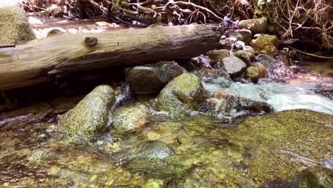 Amplia-Toma-Estática-De-Un-Tronco-Caído-A-Través-De-Un-Arroyo-De-Montaña,-Una-Cascada-Y-Rocas-De-Río-Con-Gran-Detalle,-Un-Movimiento-Hacia-Adelante-Muy-Leve-Y-Una-Panorámica-Izquierda-Para-Mostrar-Más-Del-Arroyo