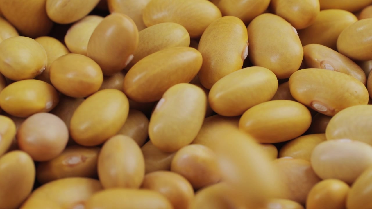 Close-up of Dry Yellow Beans Falling