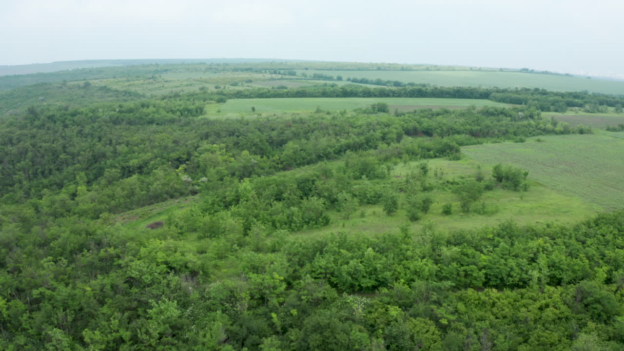 Aerial View of Green Landscape with Fields and Forest