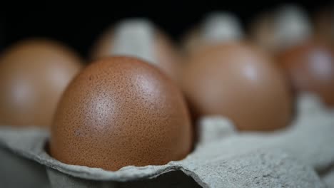 eggs in a tray zoomed out revealing more eggs and a dark background