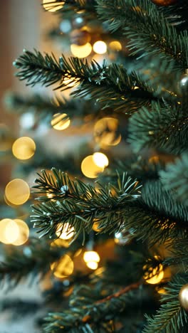 close-up of christmas tree branches with ornaments and lights