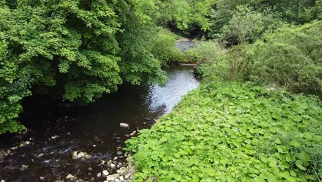 Waldflussszene,-Gefilmt-Im-Derbishire-Peak-District,-Drohnenaufnahmen-Von-Unten-Nach-Oben