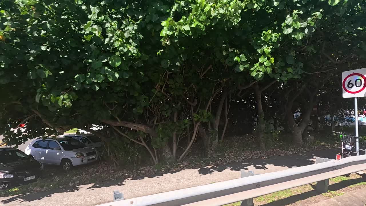 자연과 도시 요소를 선보이는 드라이브