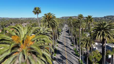 a beautiful palm tree lined road set within a picturesque and scenic landscape view a serene and tranquil view of a palm tree lined road under a beautiful clear blue sky and lush green scenery