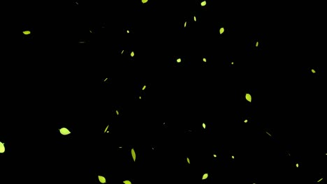 yellow dead leaves, autumn leaves, autumn, particles that emerge, motion graphics