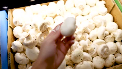 a hand examines white button mushrooms in a well-lit supermarket setting, focusing on quality and freshness