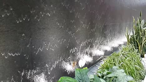 공항에서 물 벽의 slowmotion