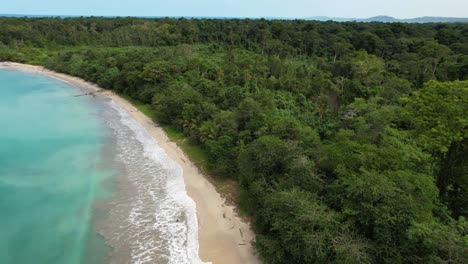 flight over a paradisiacal beach with turquoise water bordered by a jungle