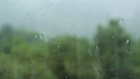 rain drop on a window inside a house or a car and with green nature in the background