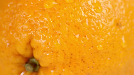 with peels of ripe orange dripping water.