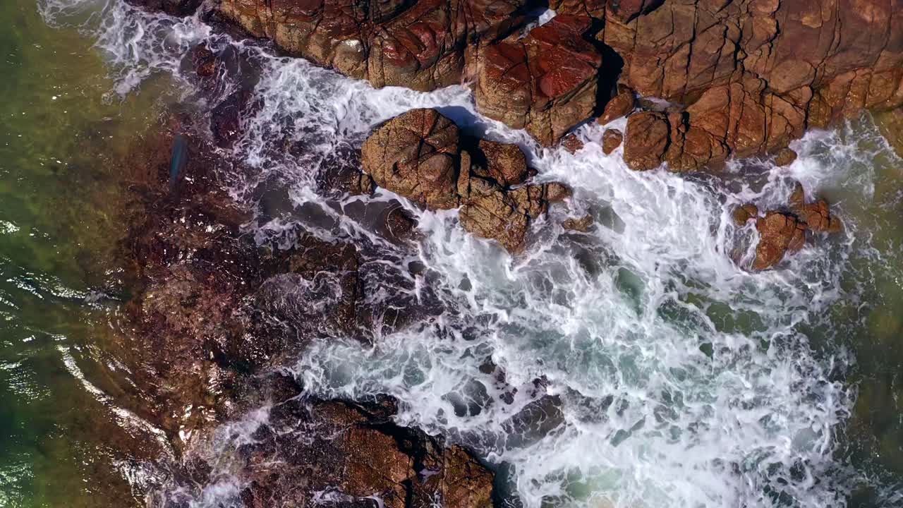 Veduta aerea di onde spumeggianti che si infrangono sulle rocce costiere nel Parco Nazionale di Noosa, Queensland, Australia - ripresa aerea con drone