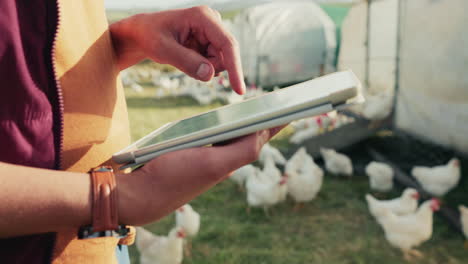 a digital tablet, chicken farmer