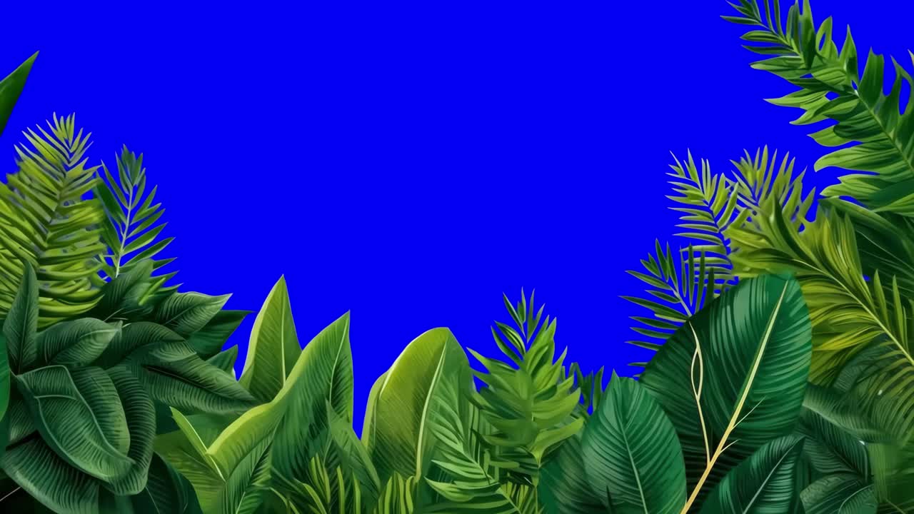 Vibrant tropical foliage frame animation, transparent 4K video, green screen