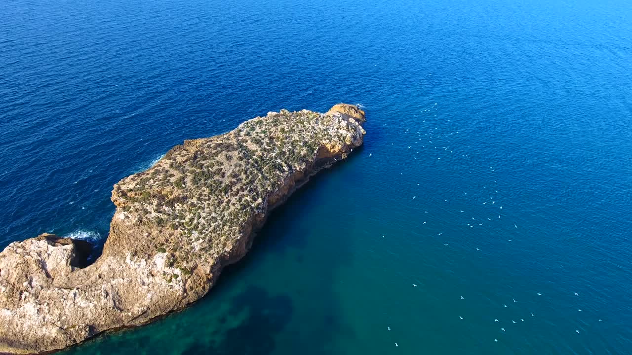 ain témouchent 알제리에서 그룹으로 비행하는 갈매기와 함께 작은 섬의 무인 항공기에 의해 공중 촬영