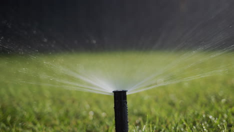 una corriente de agua bajo presión irriga el césped verde. slider 4k tiro