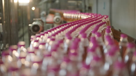 bottling line in action