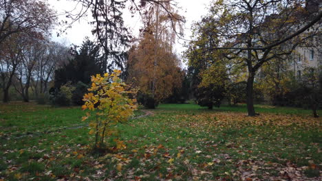 Otoño-En-Berlín-Parque-Panorámica-A-La-Derecha-59,94-Osmo-Djii-Pocket-4k-14-Secs-Parte-2