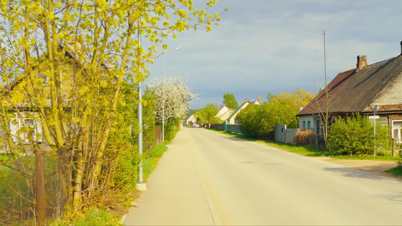 Long straight village road flanked by yellowing maples, blossoming hedges and weathered cottages on a bright spring afternoon. Malutki, Latvia (Malutki, Latvija)