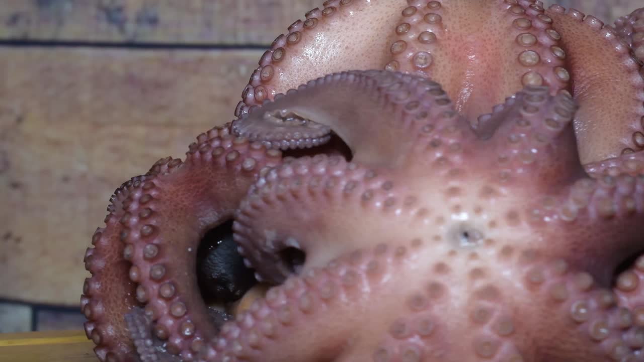 Close up group Octopus boiled spinning in rustic kitchen on wooden table