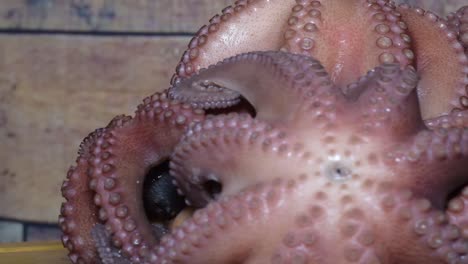 close up group octopus boiled spinning in rustic kitchen on wooden table