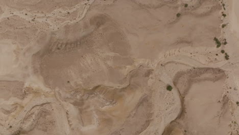 dry riverbed (wadi) in oman, showcasing arid terrain and sparse vegetation