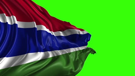 flag of the gambia