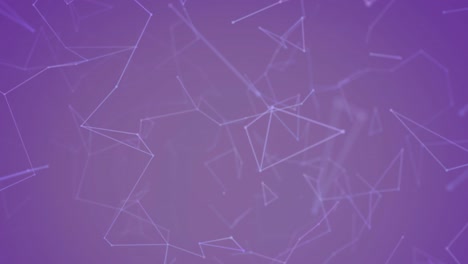 animación de la red de conexiones de plexo sobre un fondo púrpura