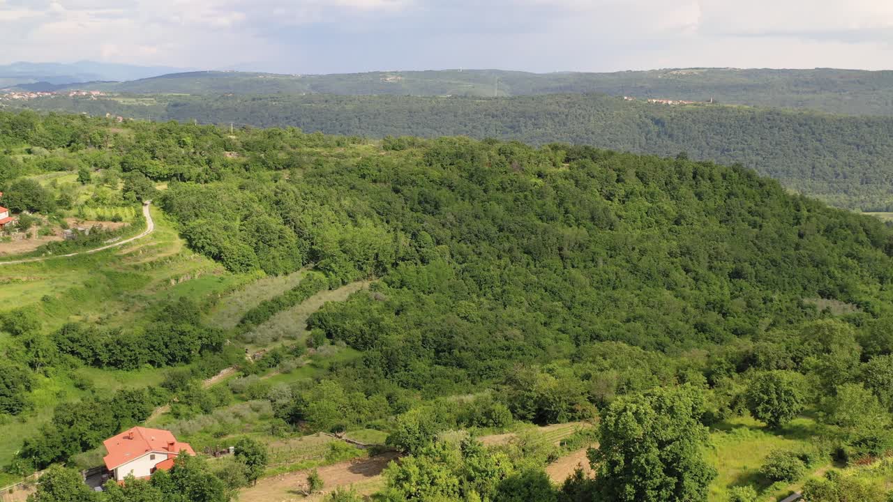 Aerial fly over forward shot of farm field and forest. Koper, Slovenia landscape