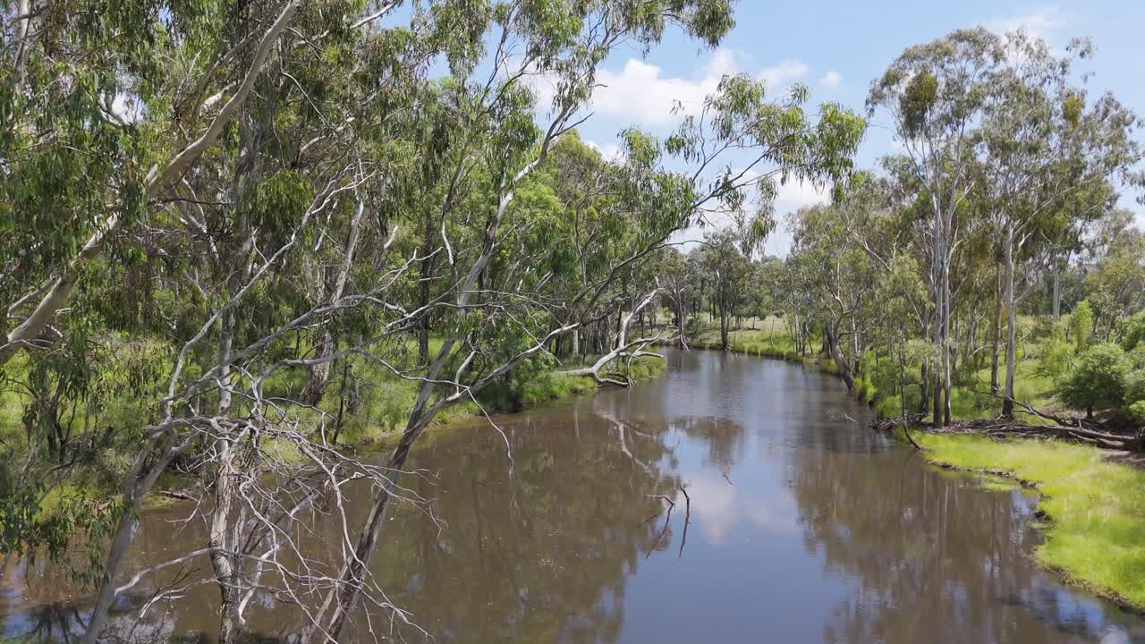 vista aérea de un arroyo en el bosque de eucaliptos