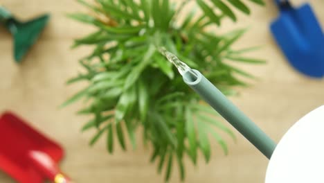 watering a houseplant with a watering can