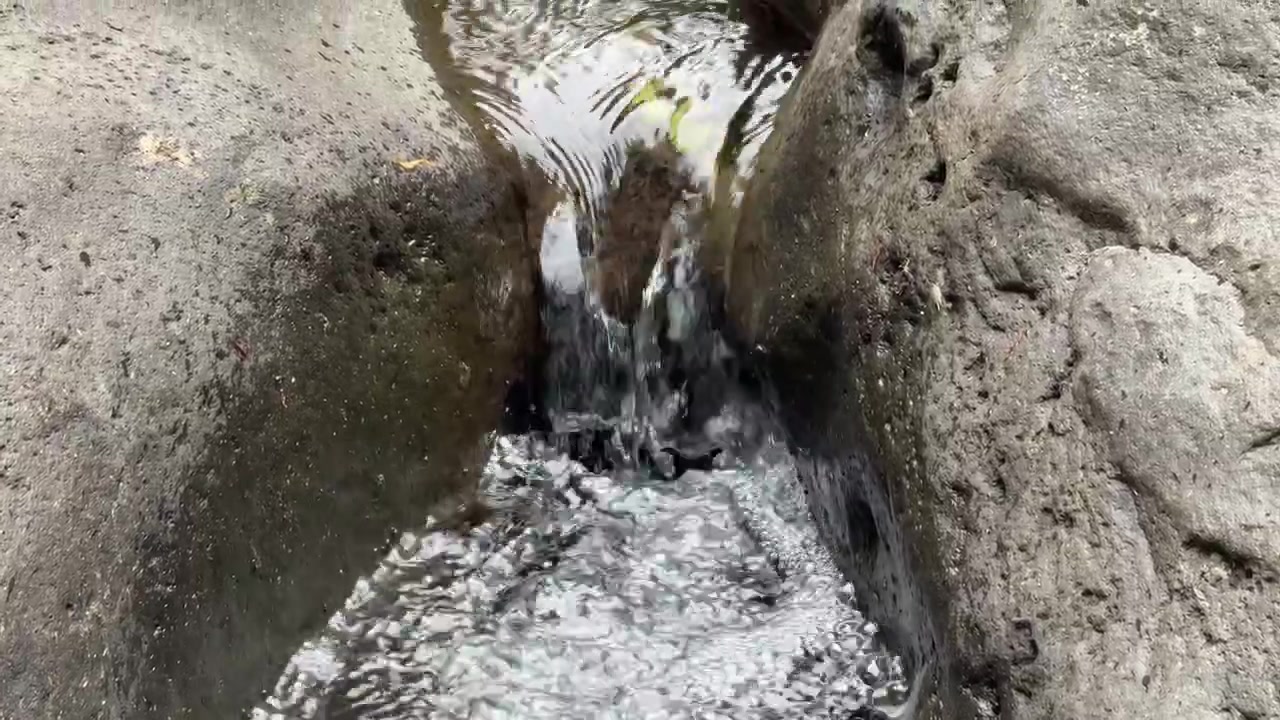 Pequeno Riacho Fluindo Entre Rochas Vulcânicas Escuras